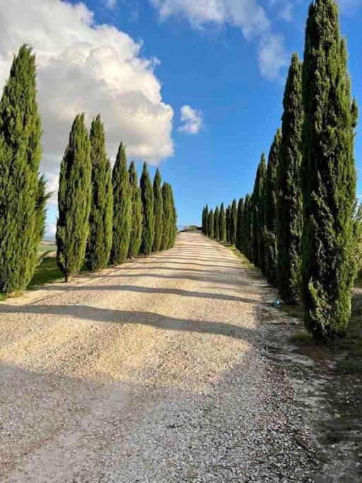 Toscana Amore Mio, Stunning View & 14Min Volterra 蒙泰卡蒂尼瓦尔迪切奇纳 外观 照片